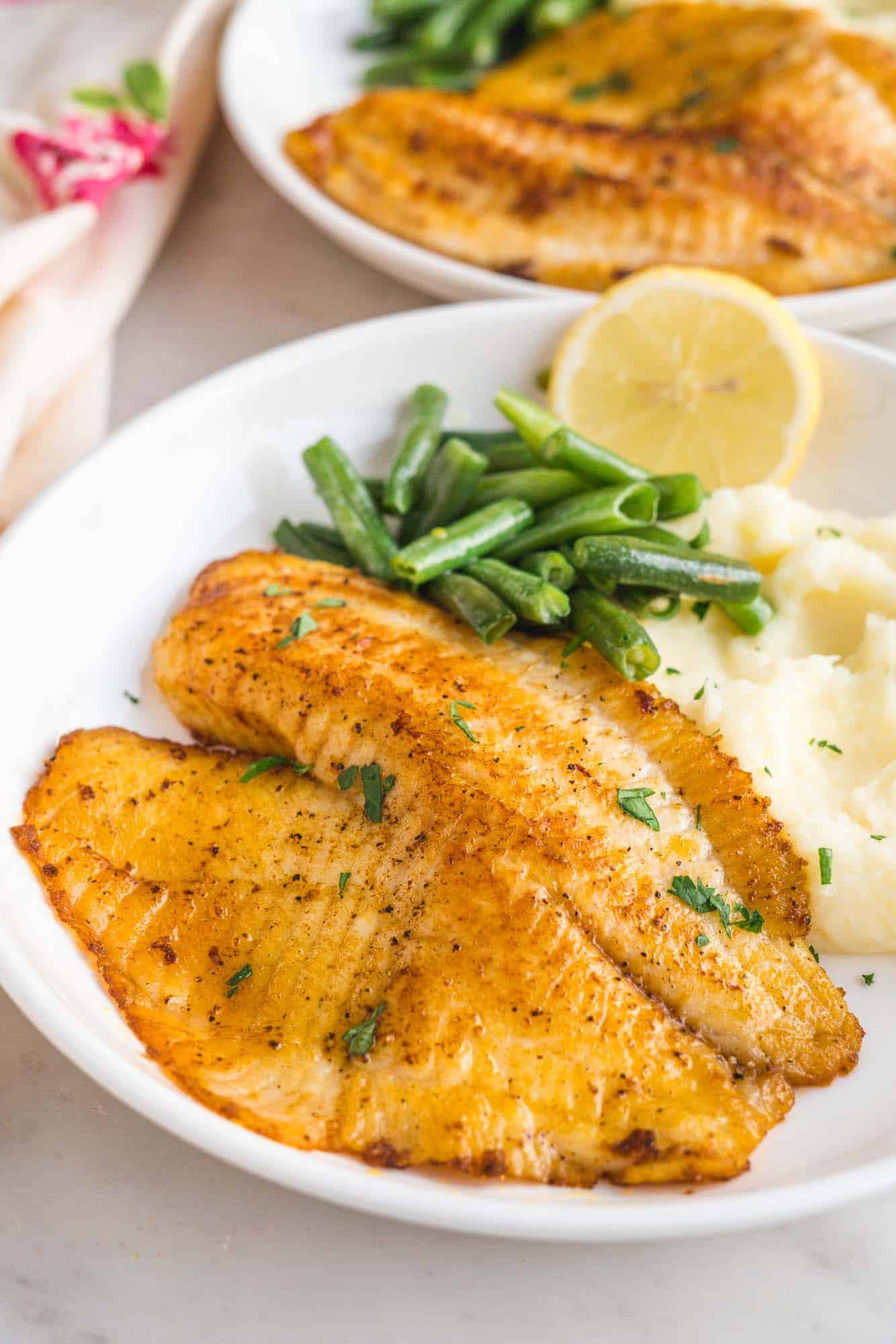 Tilapia Meal
